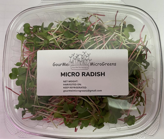 Radish microgreens
