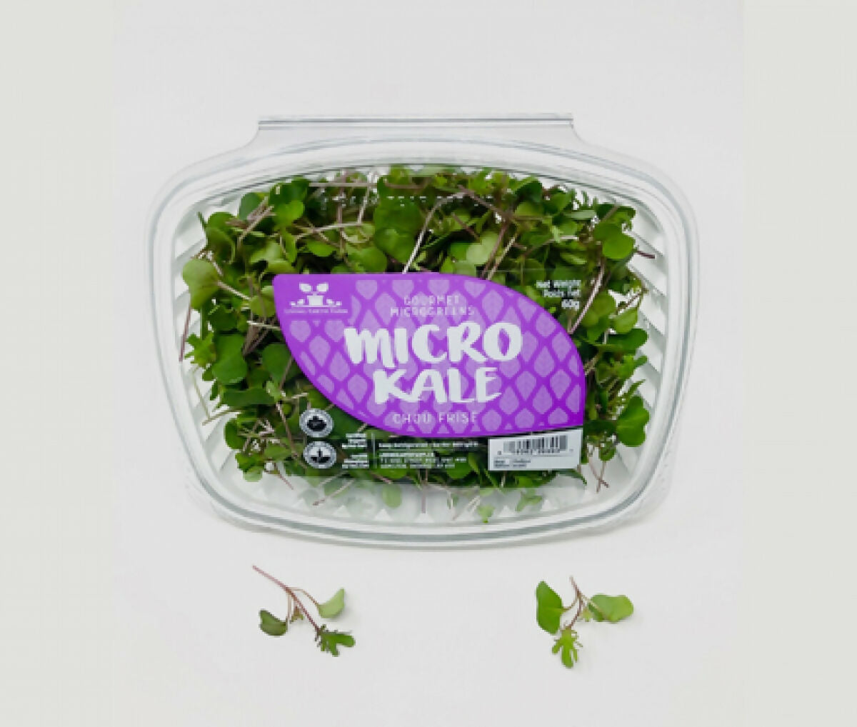 Kale microgreens