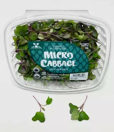 Cabbage microgreens