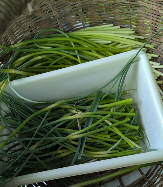 Garlic scapes