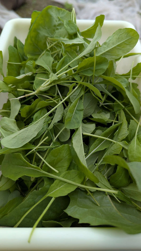 Baby arugula