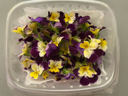 Edible pansies